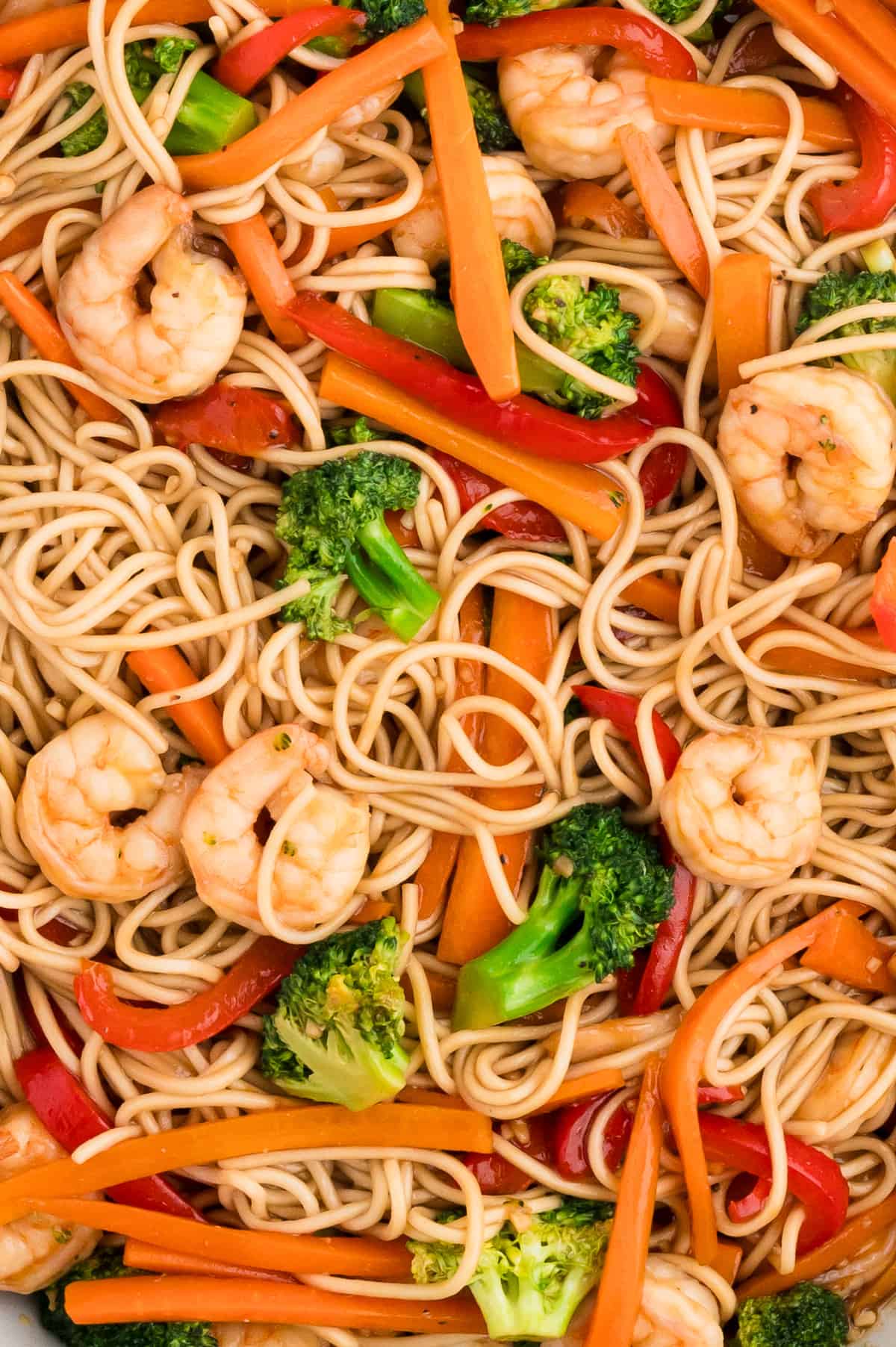 A close up view of shrimp lo mein, with lo mein noodles and veggies fully filling the frame.
